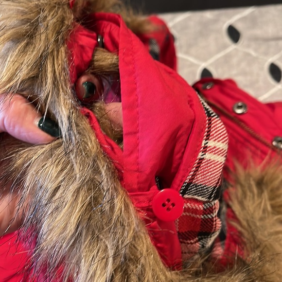 Red vest - Picture 11 of 12